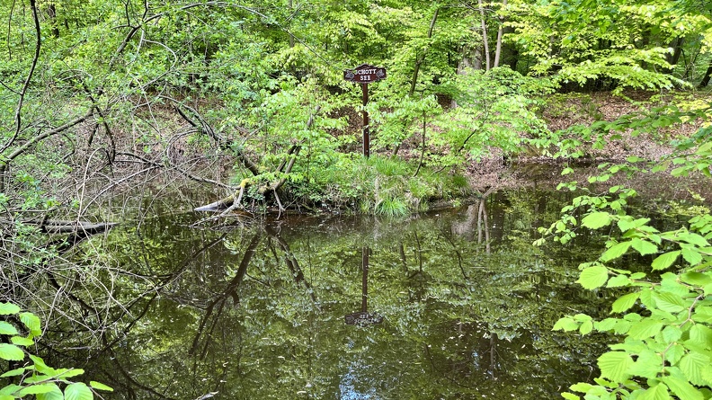 22-05-02 12-28-16 0720.jpg